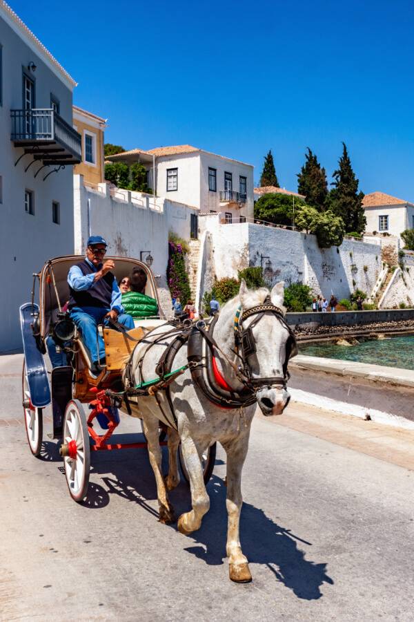 Spetses-Greece-shutterstock (1) Crete mountain goat